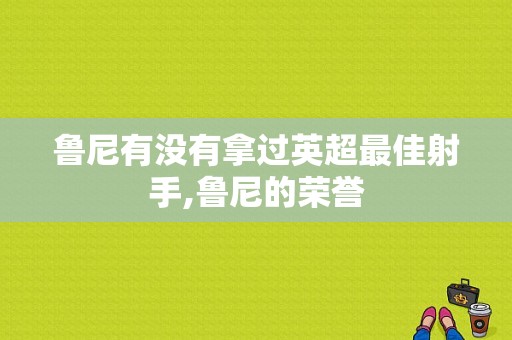 鲁尼有没有拿过英超最佳射手,鲁尼的荣誉