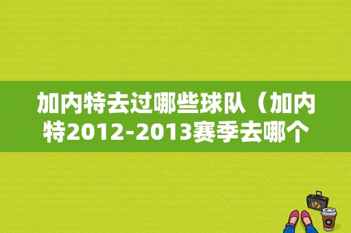 加内特去过哪些球队（加内特2012-2013赛季去哪个球队了）