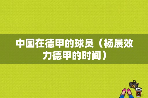中国在德甲的球员（杨晨效力德甲的时间）