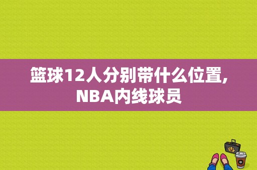 篮球12人分别带什么位置,NBA内线球员