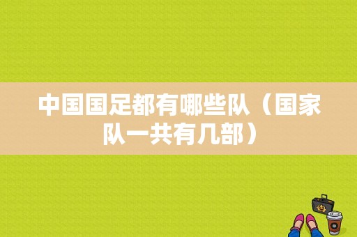 中国国足都有哪些队（国家队一共有几部）