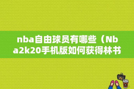 nba自由球员有哪些（Nba2k20手机版如何获得林书豪。）